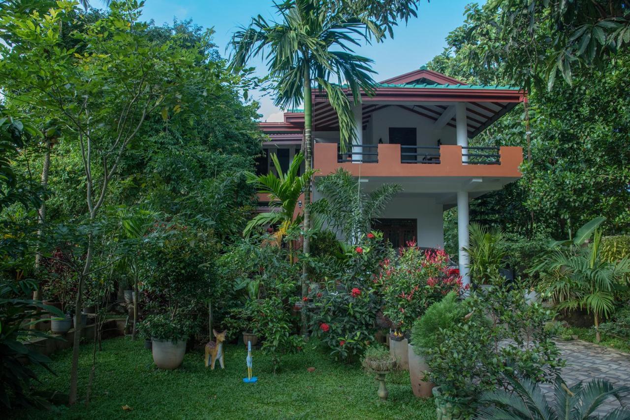 Sadee'S Place Dambulla Kültér fotó